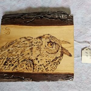 Wooden Owl Art Plaque